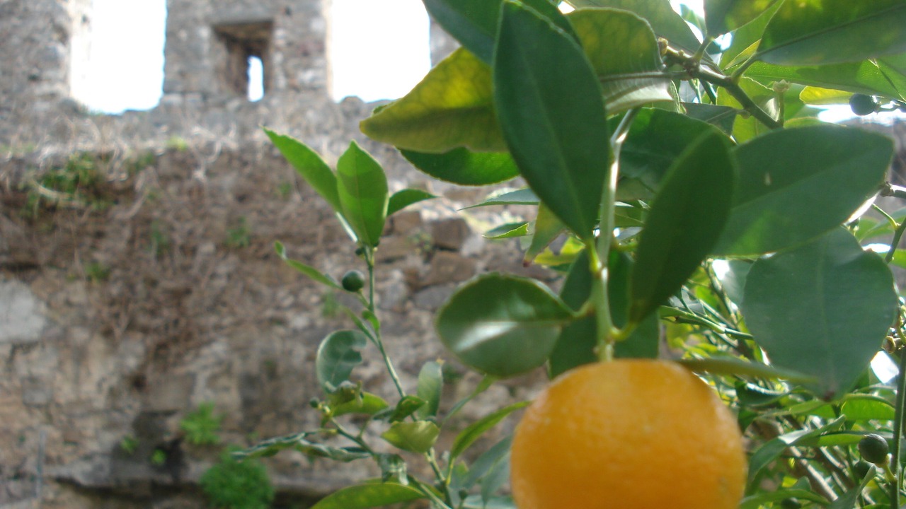 Photo of Outdoor in Gefira Mpania