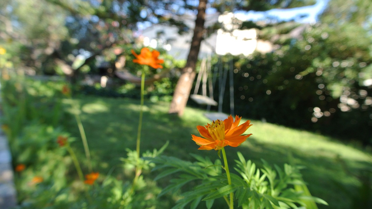 Photo of Outdoor in Korfalonas