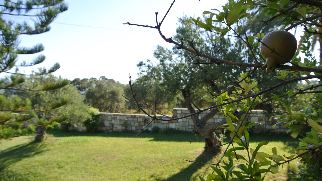 Photo of Outdoor in Korfalonas