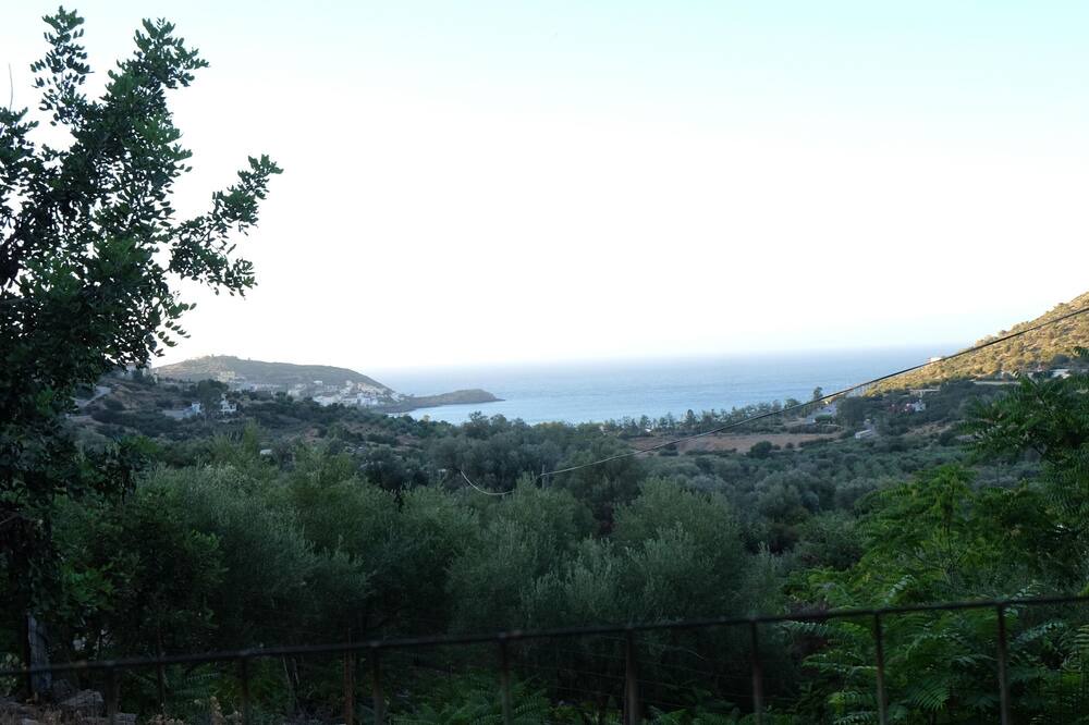 Photo of Others in Vlichada