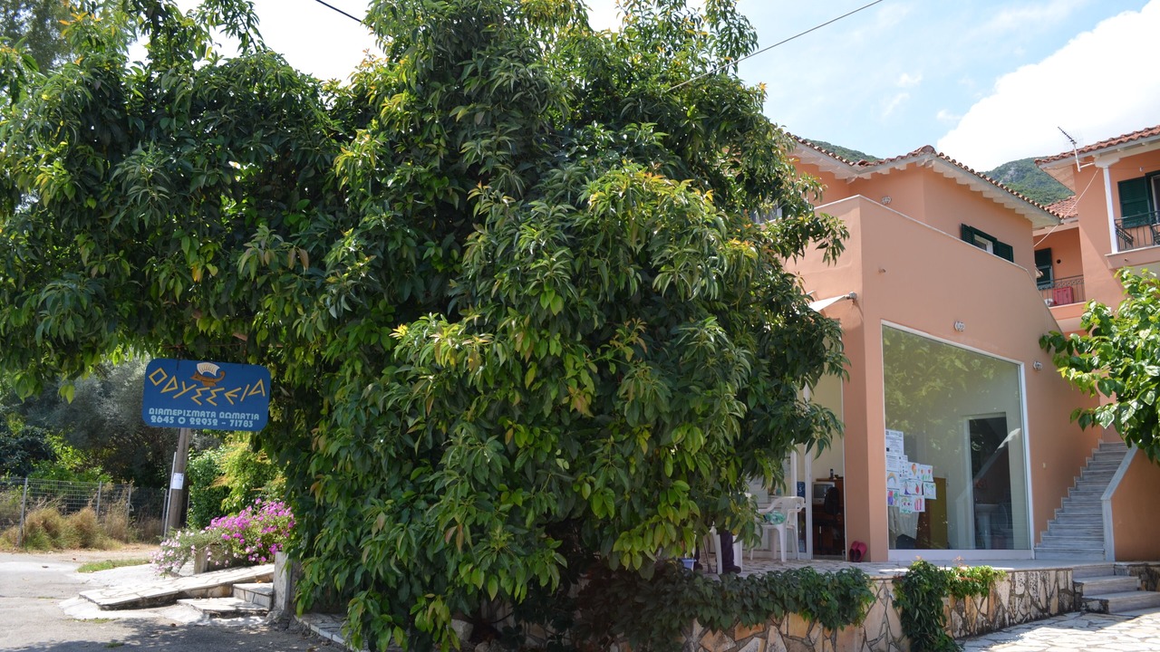 Photo of Outdoor in Nikiana