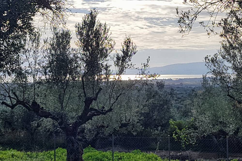 Photo of Outdoor in Katsaraiika