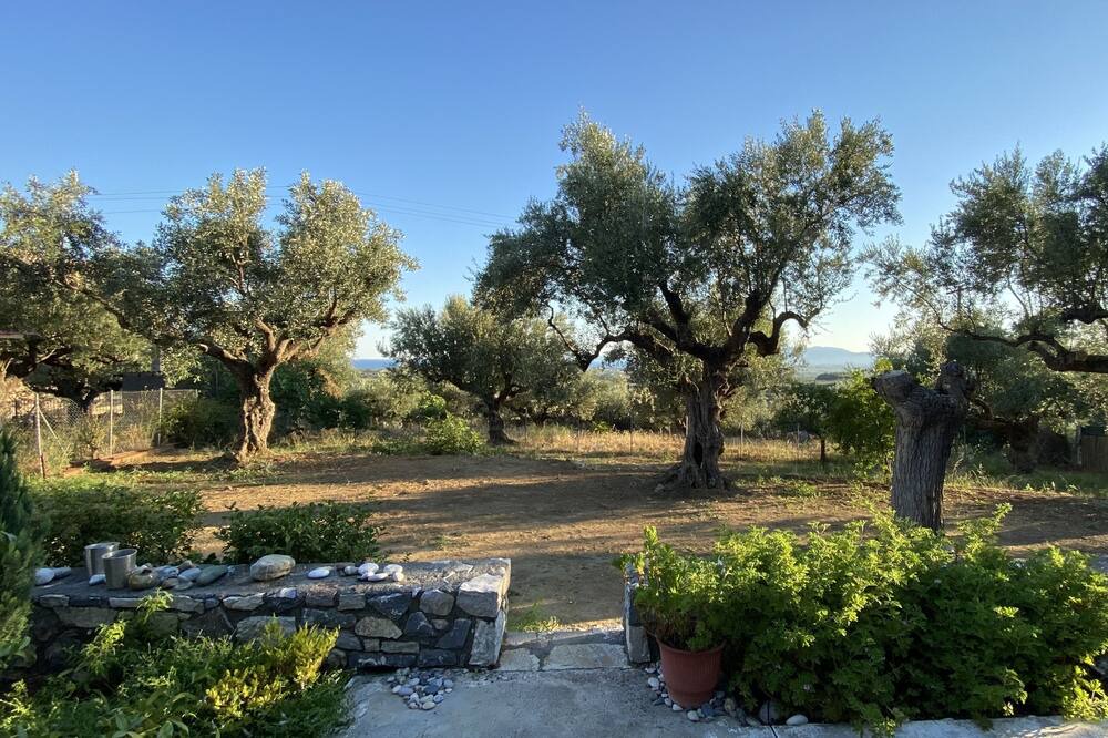 Photo of Outdoor in Katsaraiika