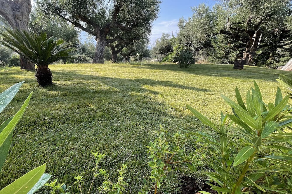 Photo of Outdoor in Katsaraiika