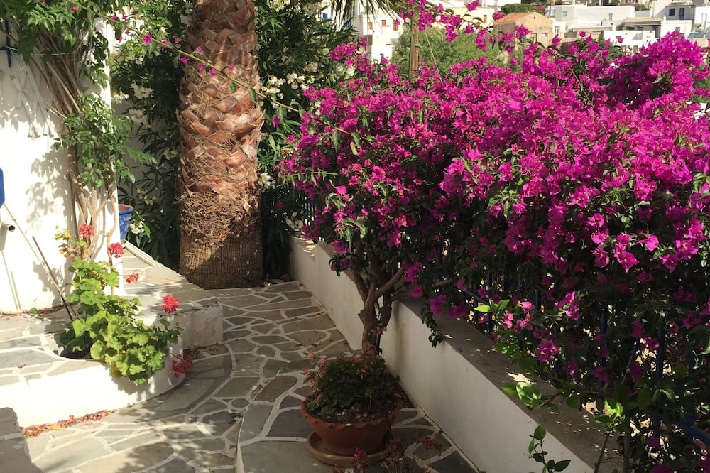 Photo of Outdoor in Lefkes