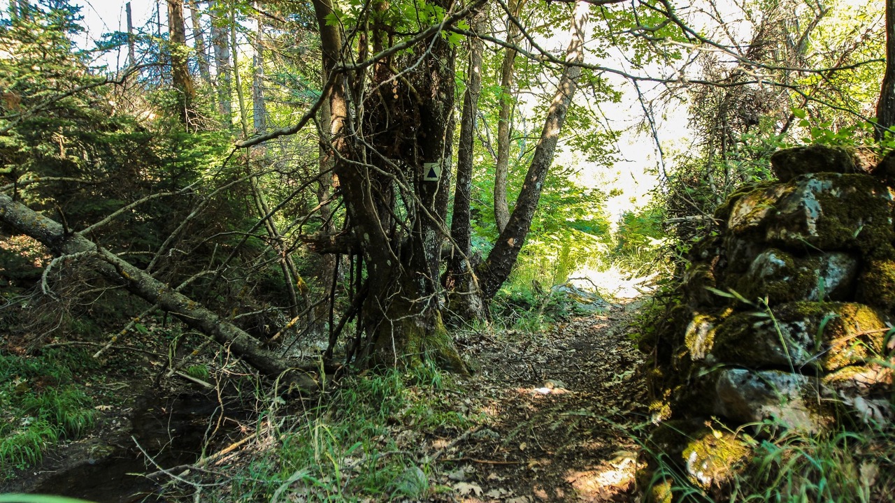 Photo of Outdoor in Vamvakou