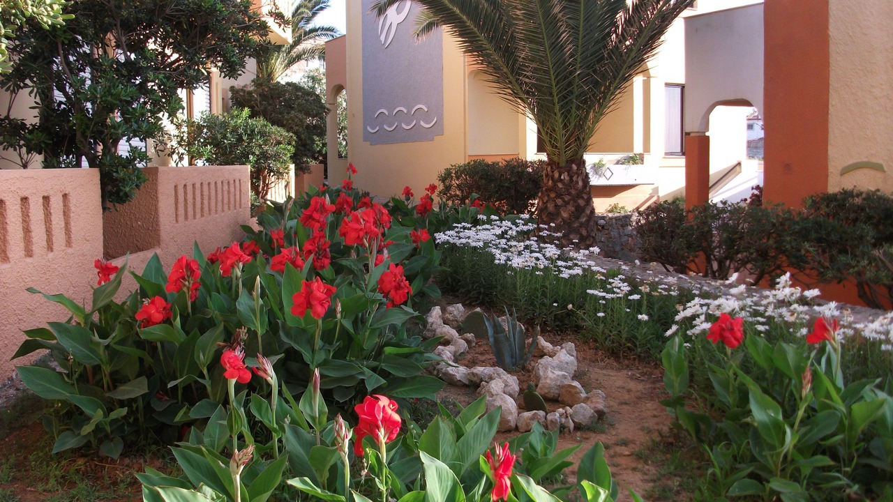 Photo of Outdoor in Sfakaki