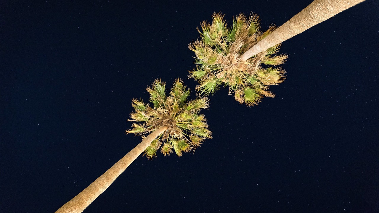 Photo of Outdoor in Kos Town