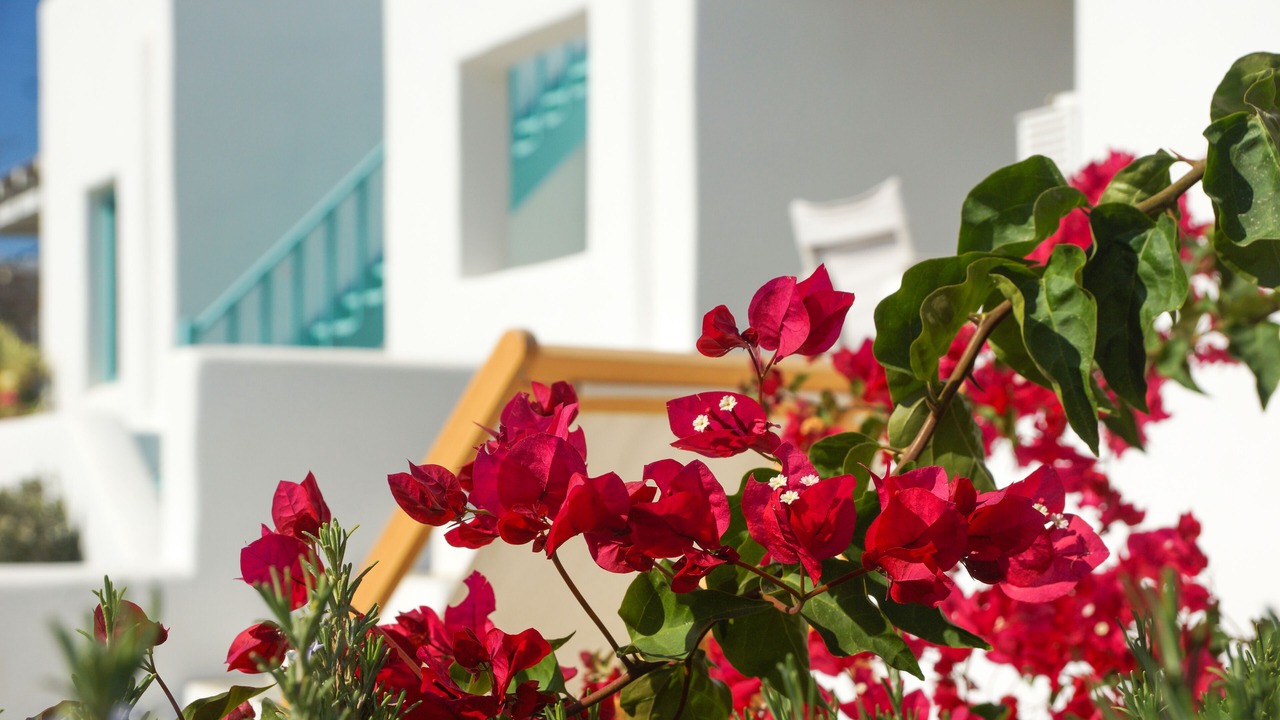 Photo of Outdoor in Plaka