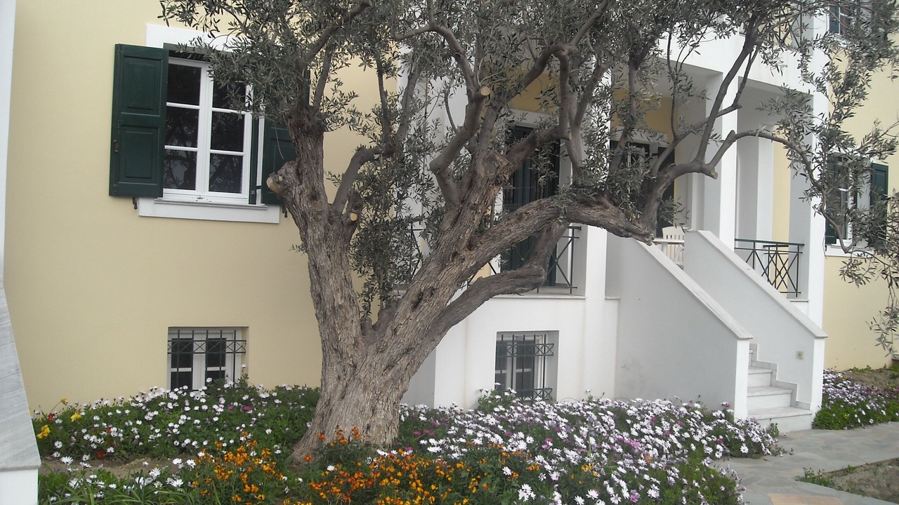 Photo of Outdoor in Posidonia