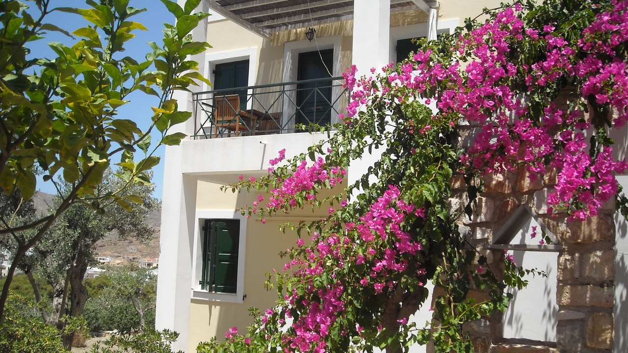 Photo of Outdoor in Posidonia