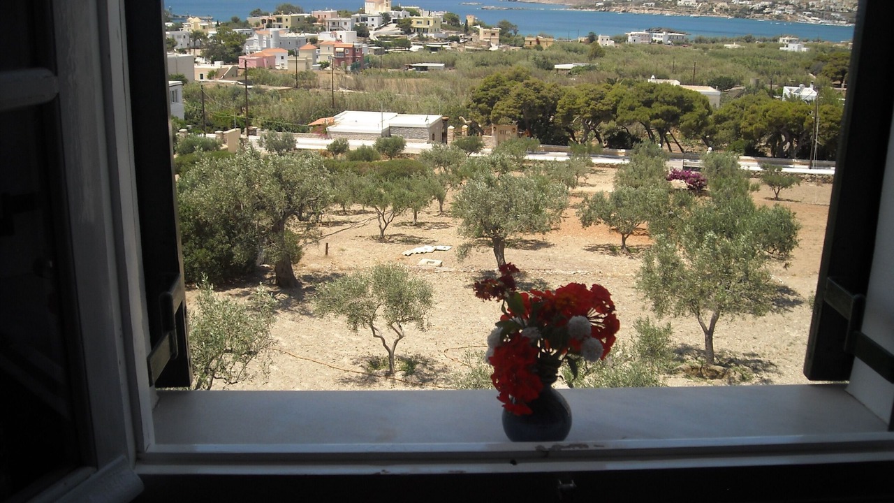Photo of Others in Posidonia