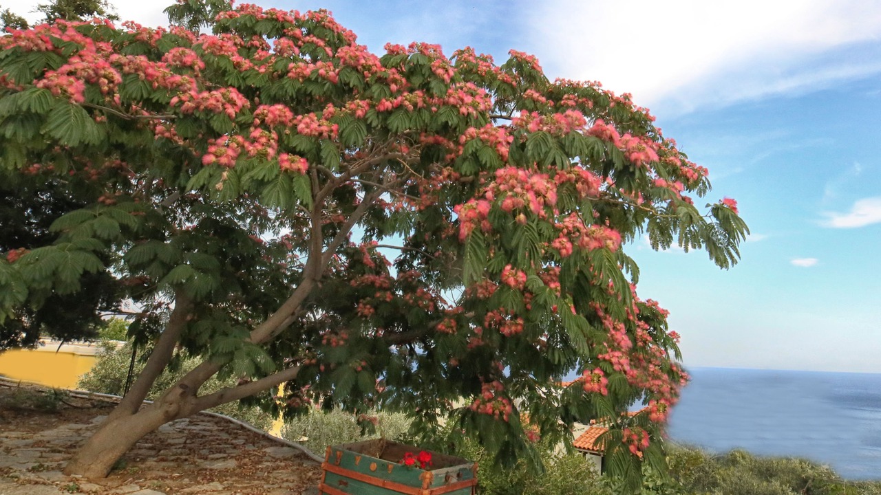 Photo of Outdoor in Agios Kirykos