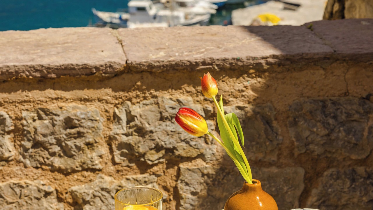 Photo of Others in Hydra