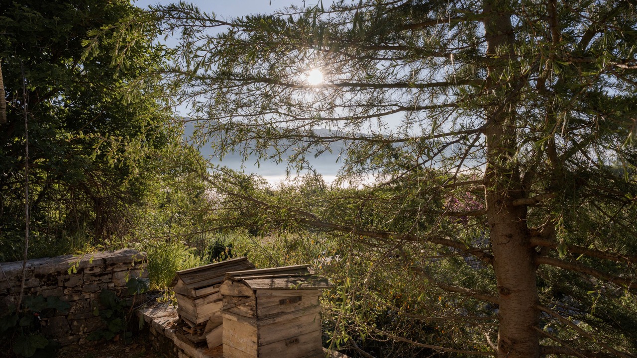 Photo of Outdoor in Zagori