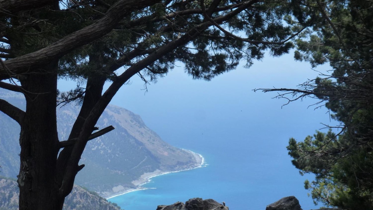 Photo of Others in Agia Roumeli