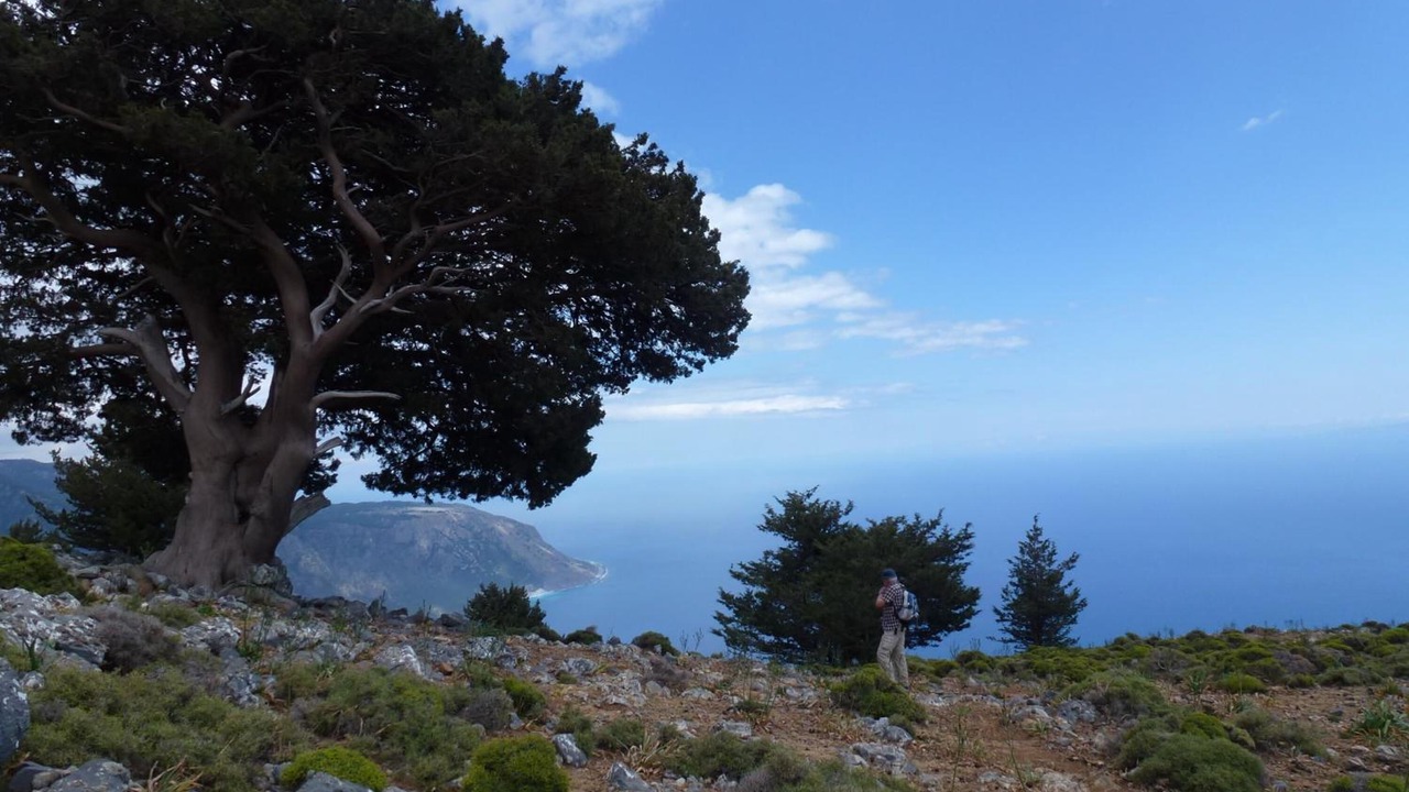 Photo of Outdoor in Agia Roumeli
