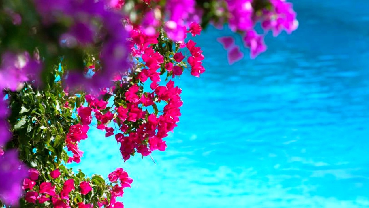 Photo of Outdoor in Monemvasia
