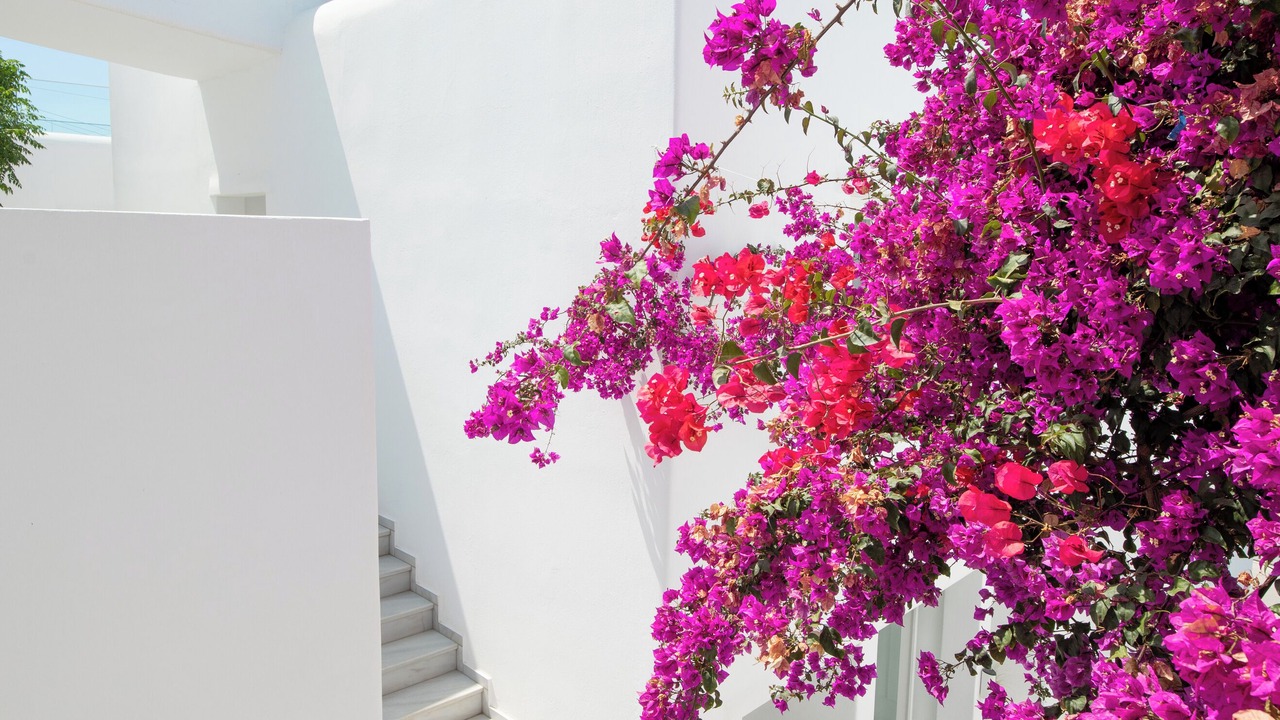 Photo of Outdoor in Platis Gialos