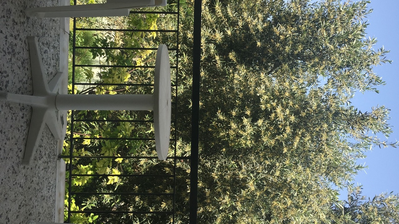 Photo of Patio Balcony in Aegina