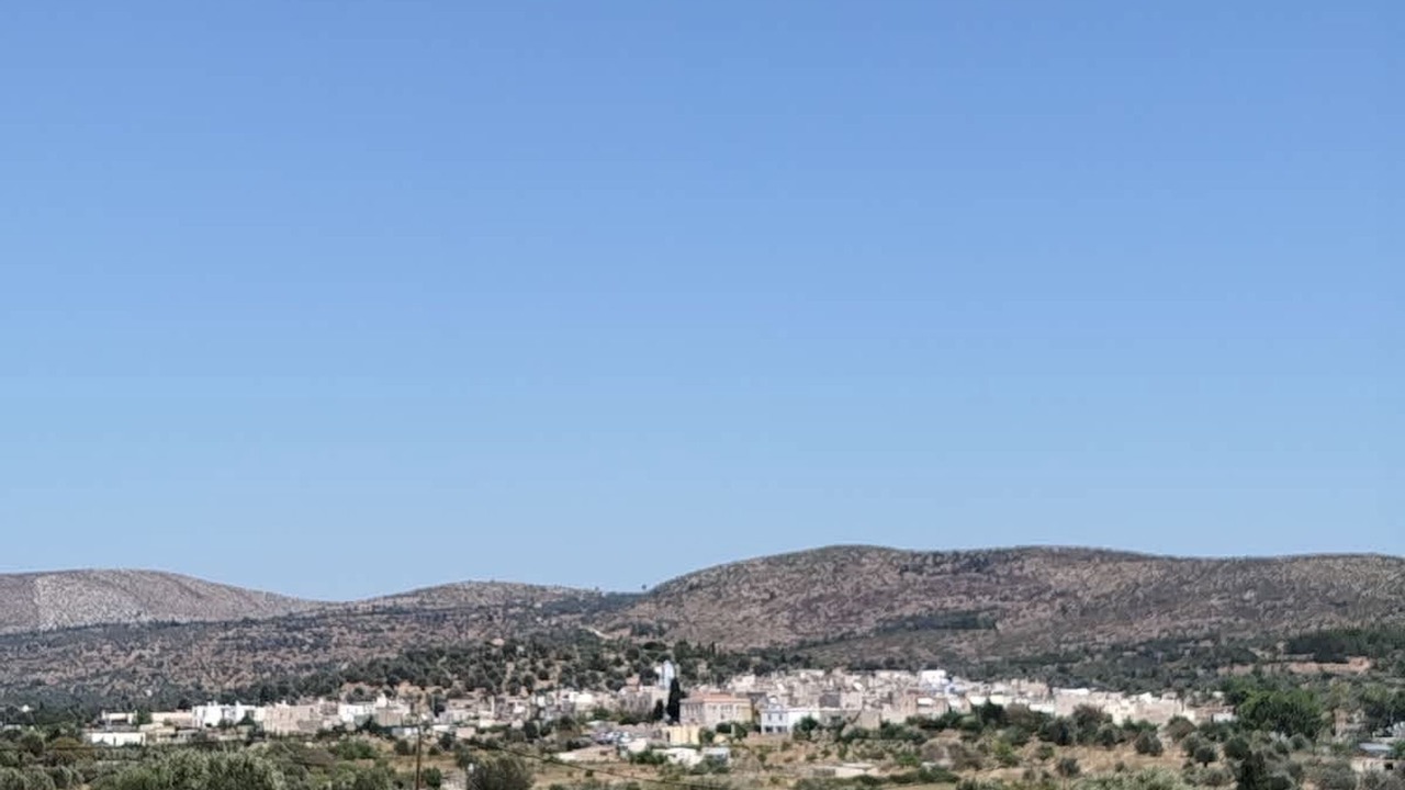Photo of Others in Olympi