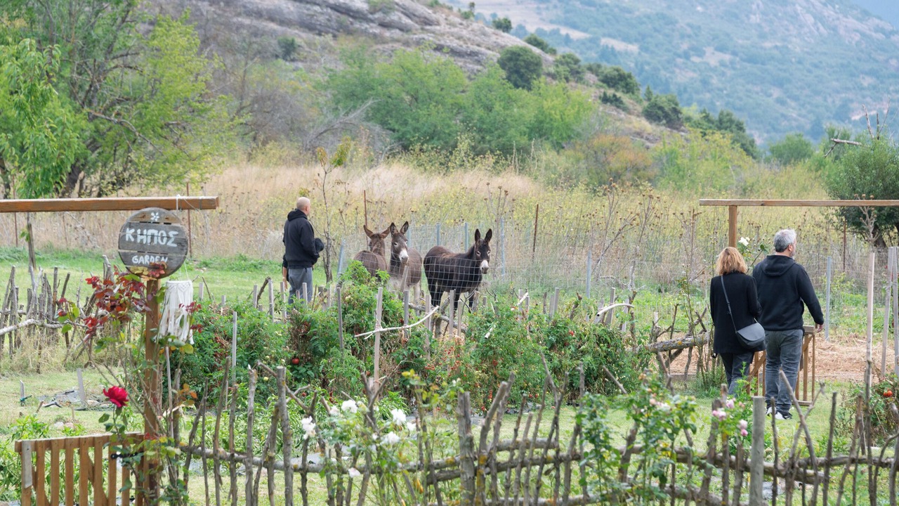 Photo of Outdoor in Kalavrita
