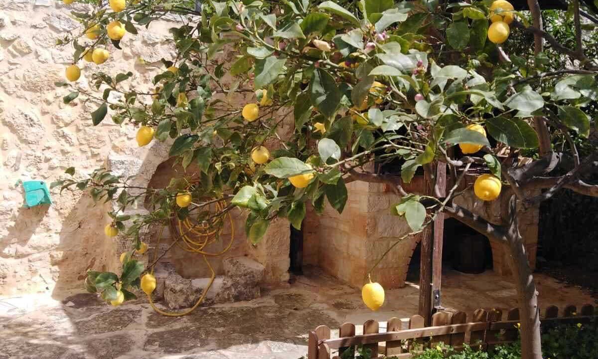 Photo of Outdoor in Roumeli