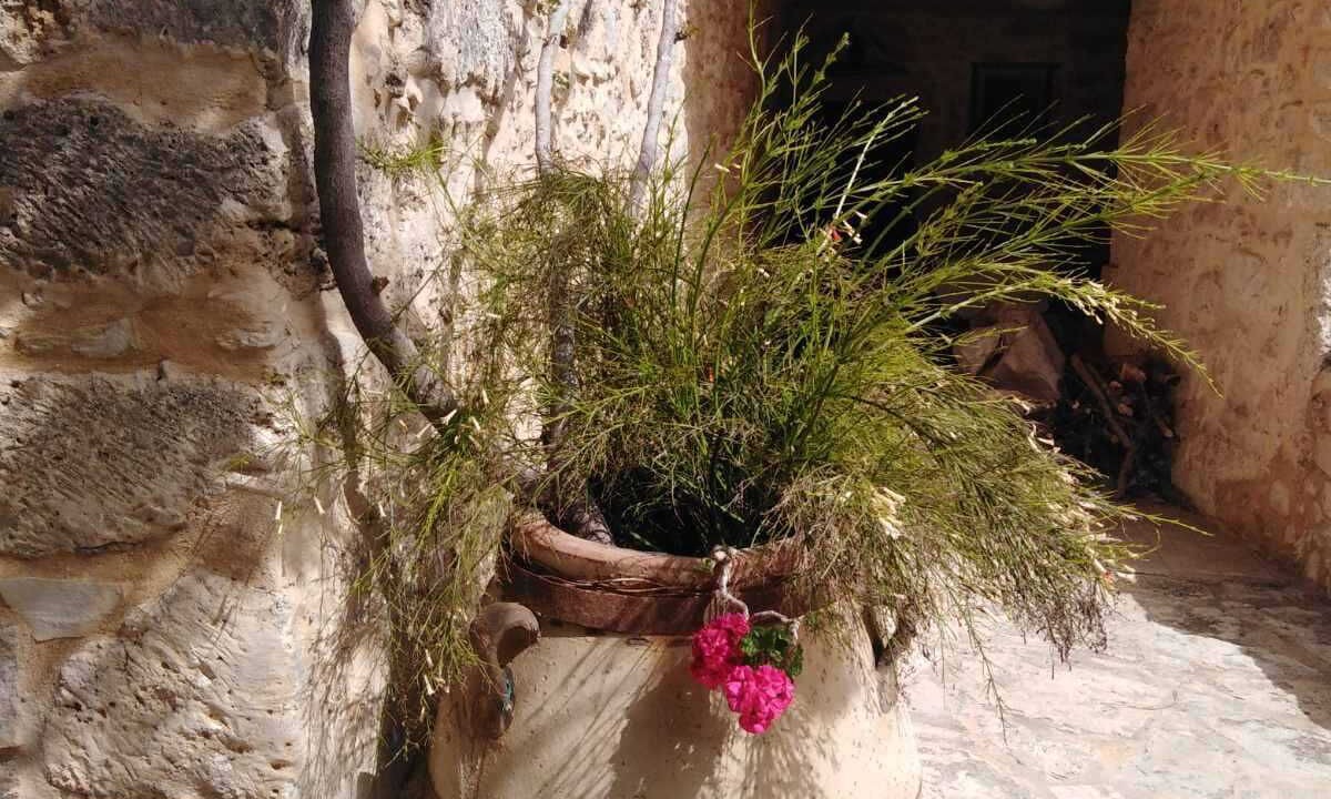 Photo of Outdoor in Roumeli
