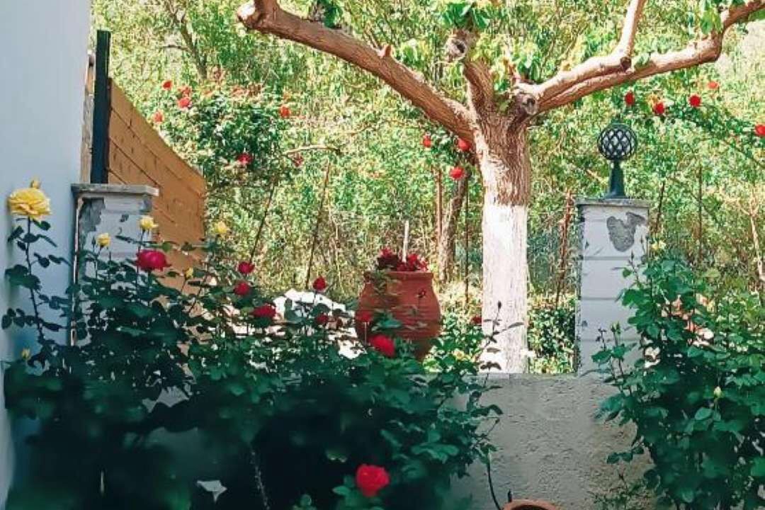 Photo of Outdoor in Kamariotis