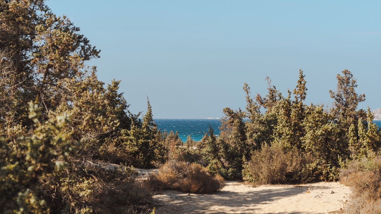 Photo of Others in Naxos