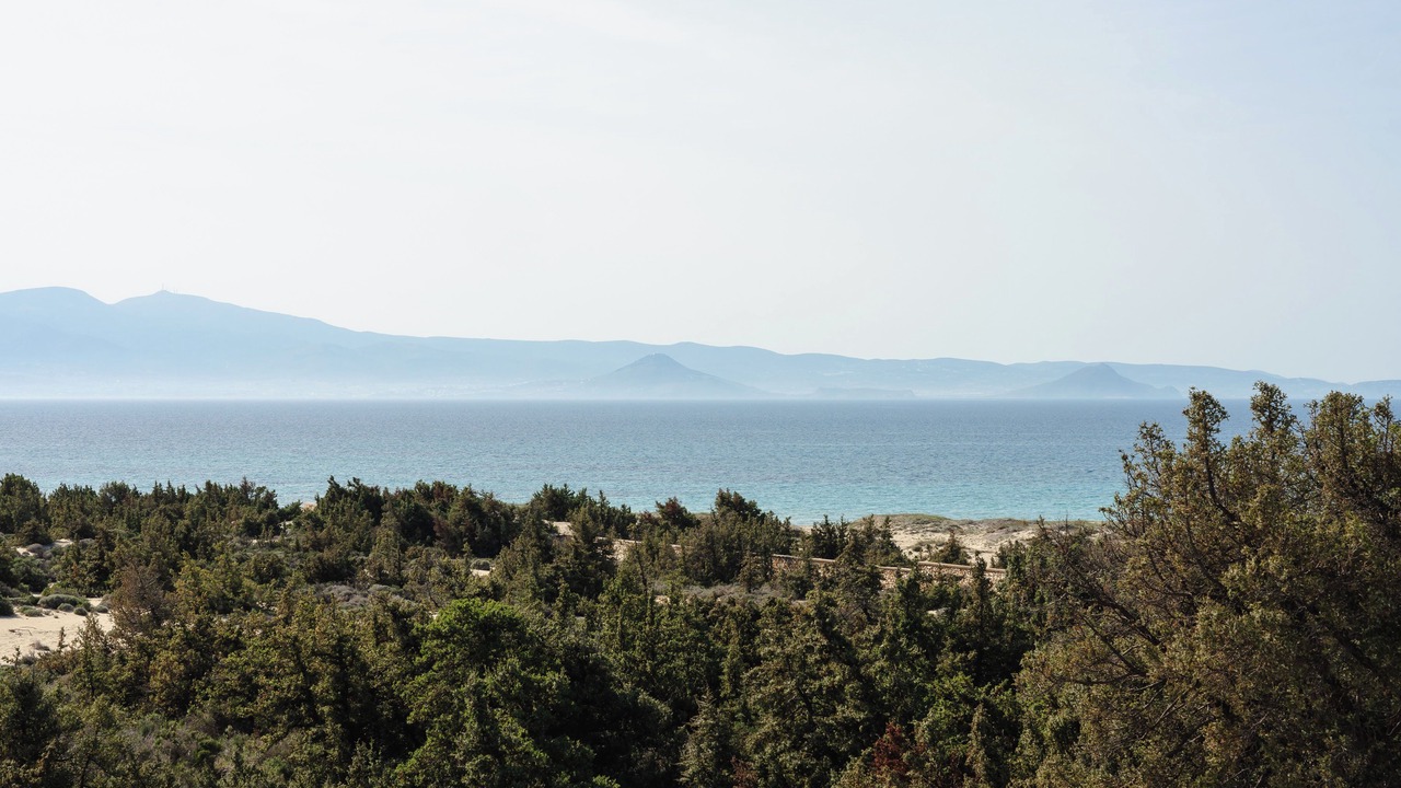 Photo of Others in Naxos