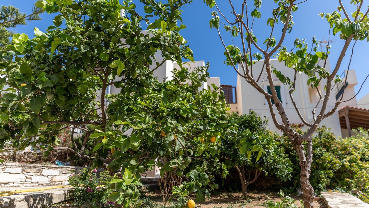 Photo of Others in Naxos Town
