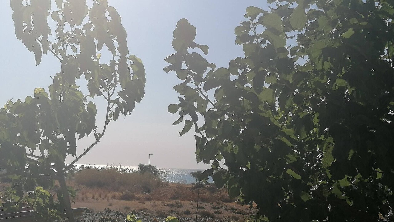 Photo of Others in Faliraki