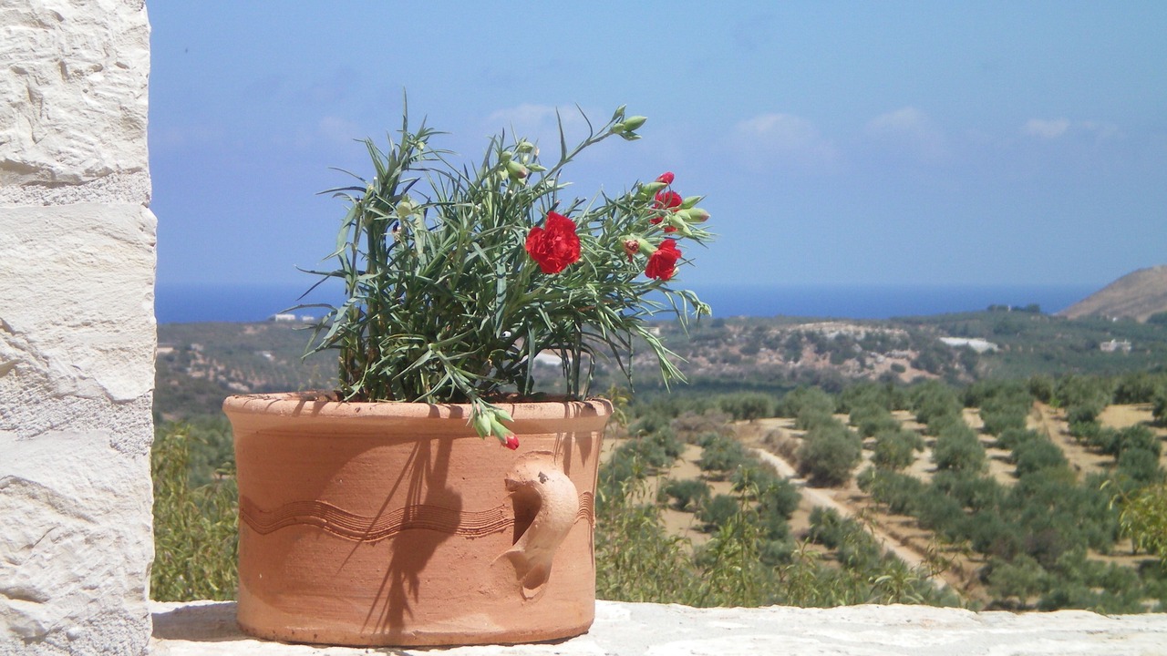 Photo of Others in Aggeliana
