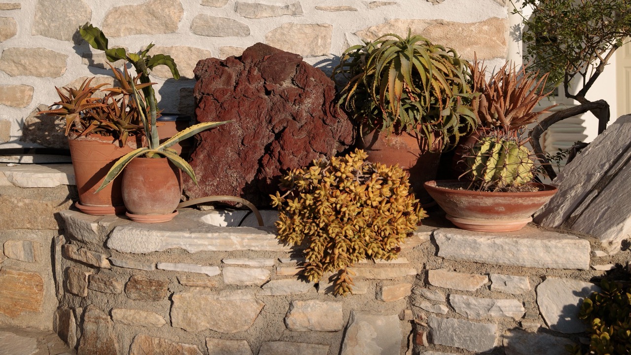 Photo of Outdoor in Agkidia