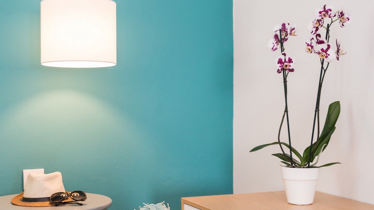 Photo of Bedroom in Agia Marina