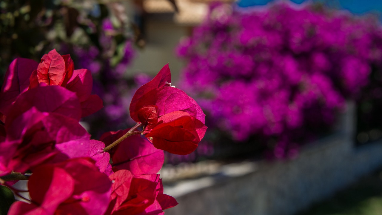 Photo of Outdoor in Agia Marina