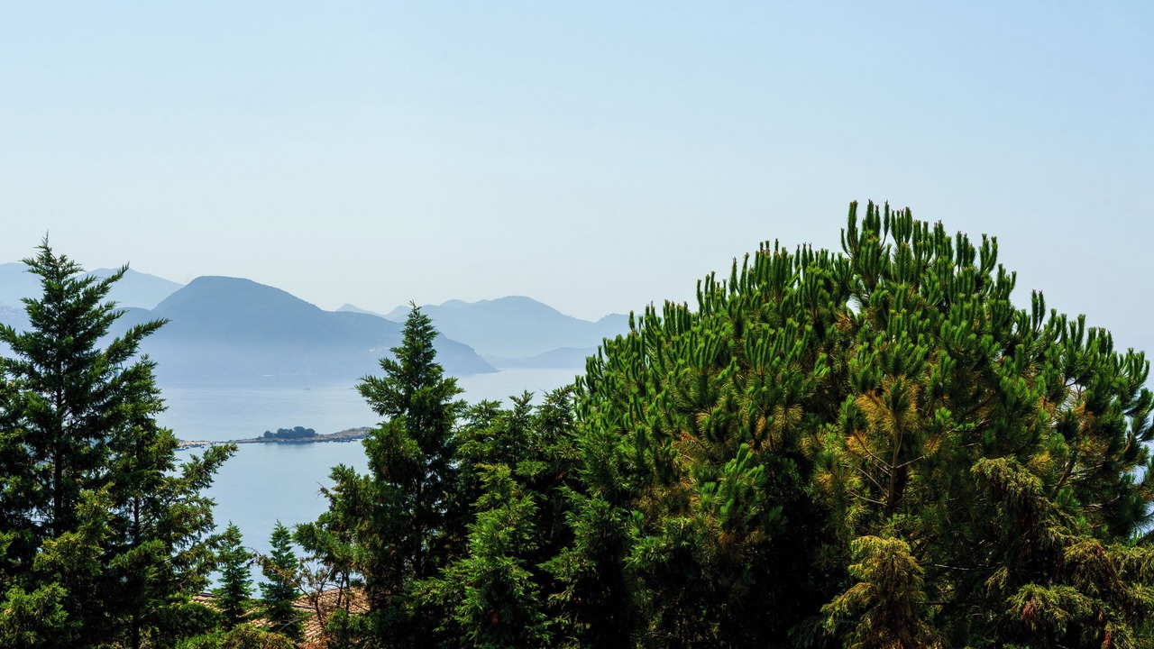 Photo of Others in Sivota