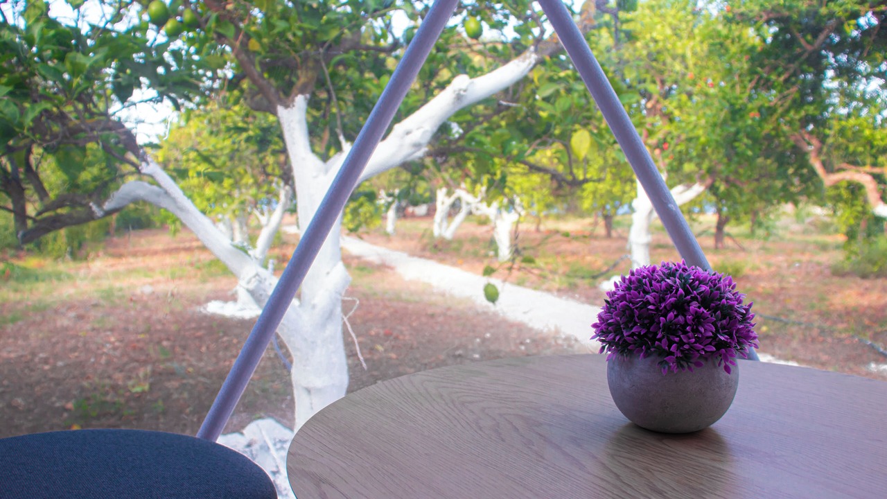 Photo of Outdoor in Paralia Kallonis