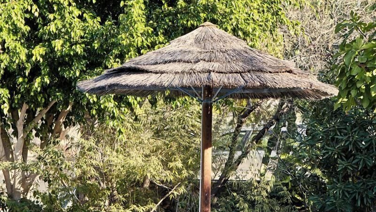 Photo of Outdoor in Perdhika
