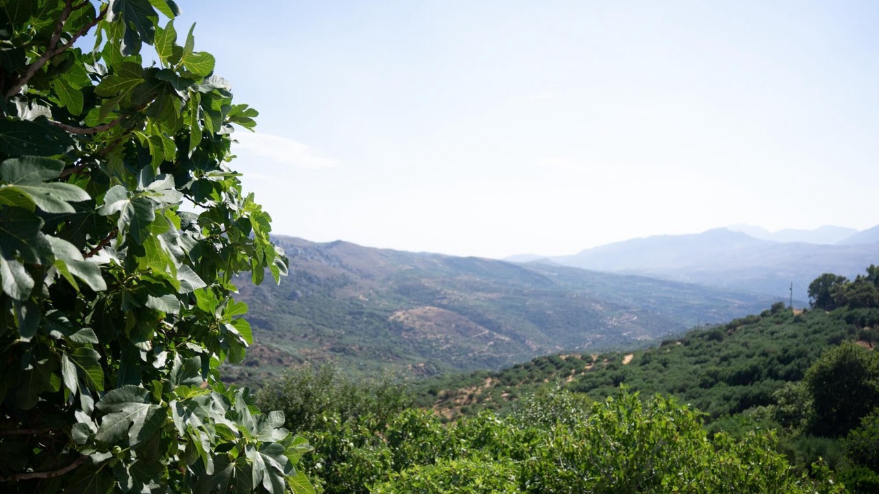 Photo of Others in Katsidoni