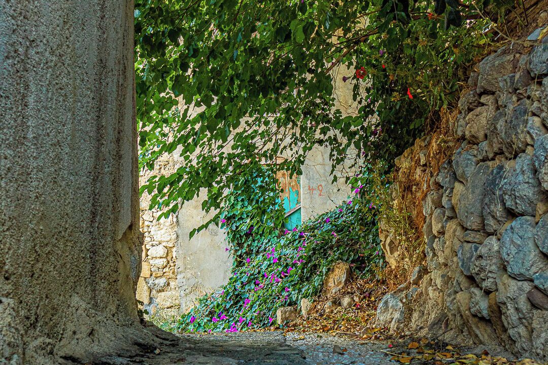 Photo of Outdoor in Makrilia