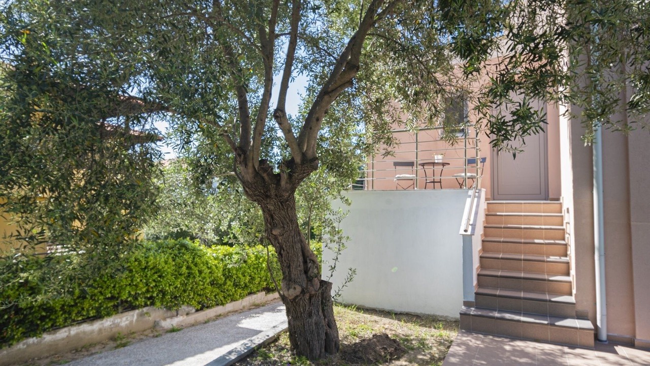 Photo of Outdoor in Elia