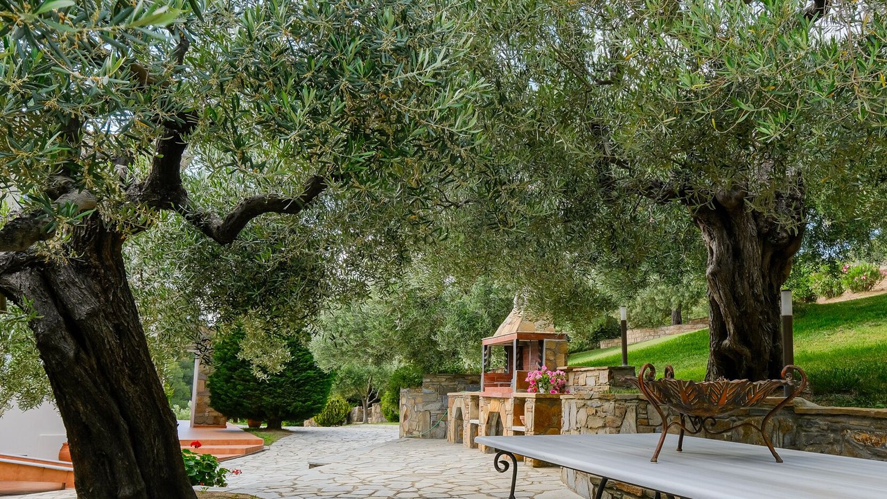 Photo of Outdoor in Elia Nikitis