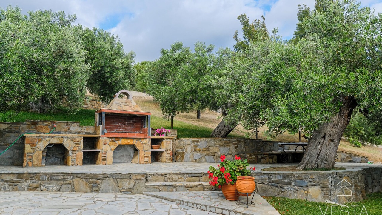 Photo of Outdoor in Elia Nikitis