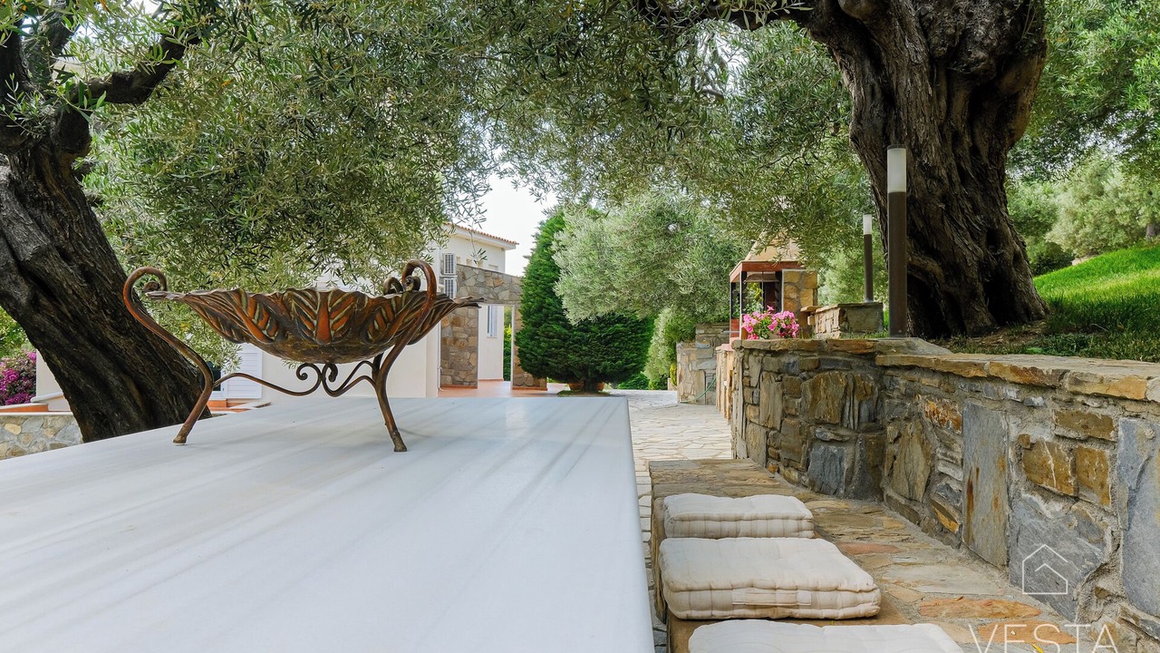 Photo of Outdoor in Elia Nikitis