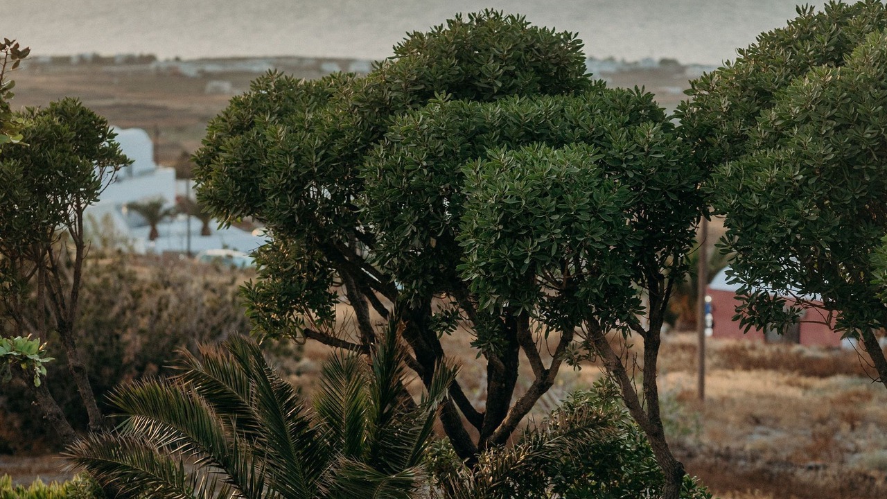 Photo of Outdoor in Finikia
