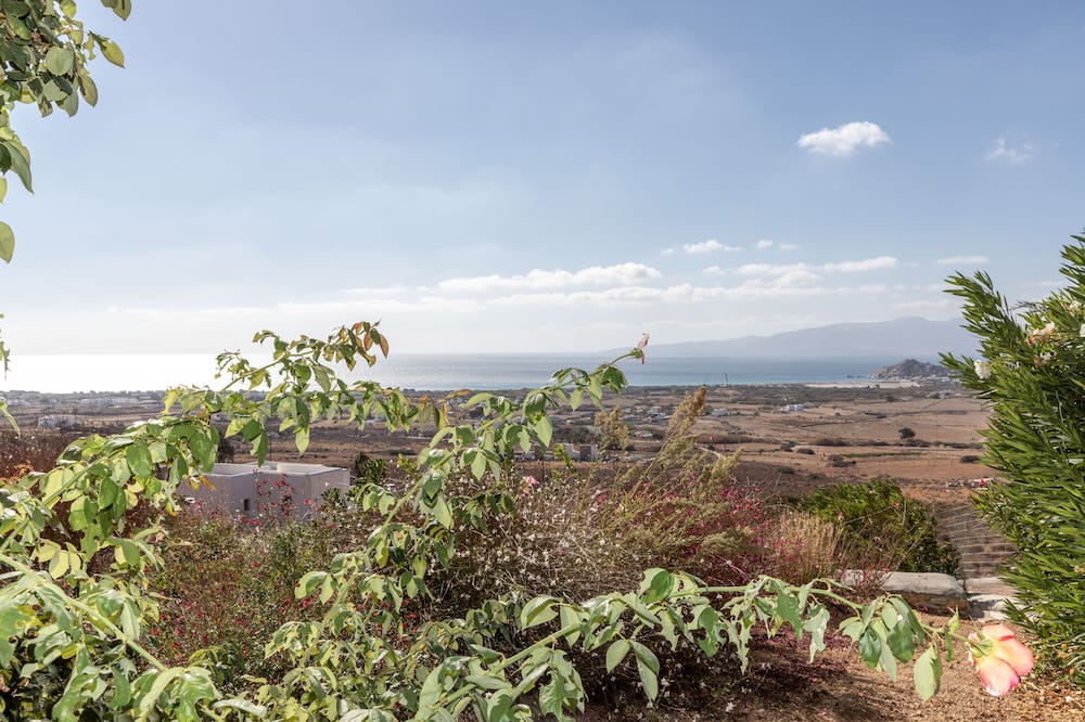 Photo of Outdoor in Naxos