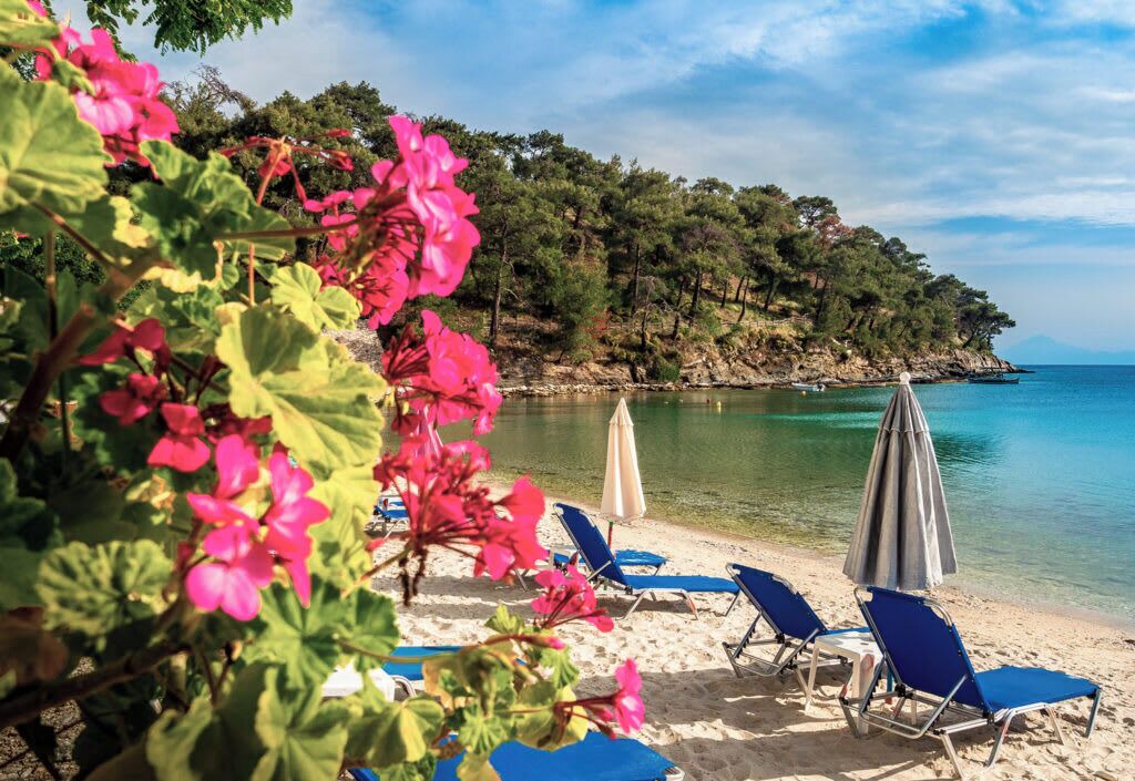 Photo of Others in Thasos Town