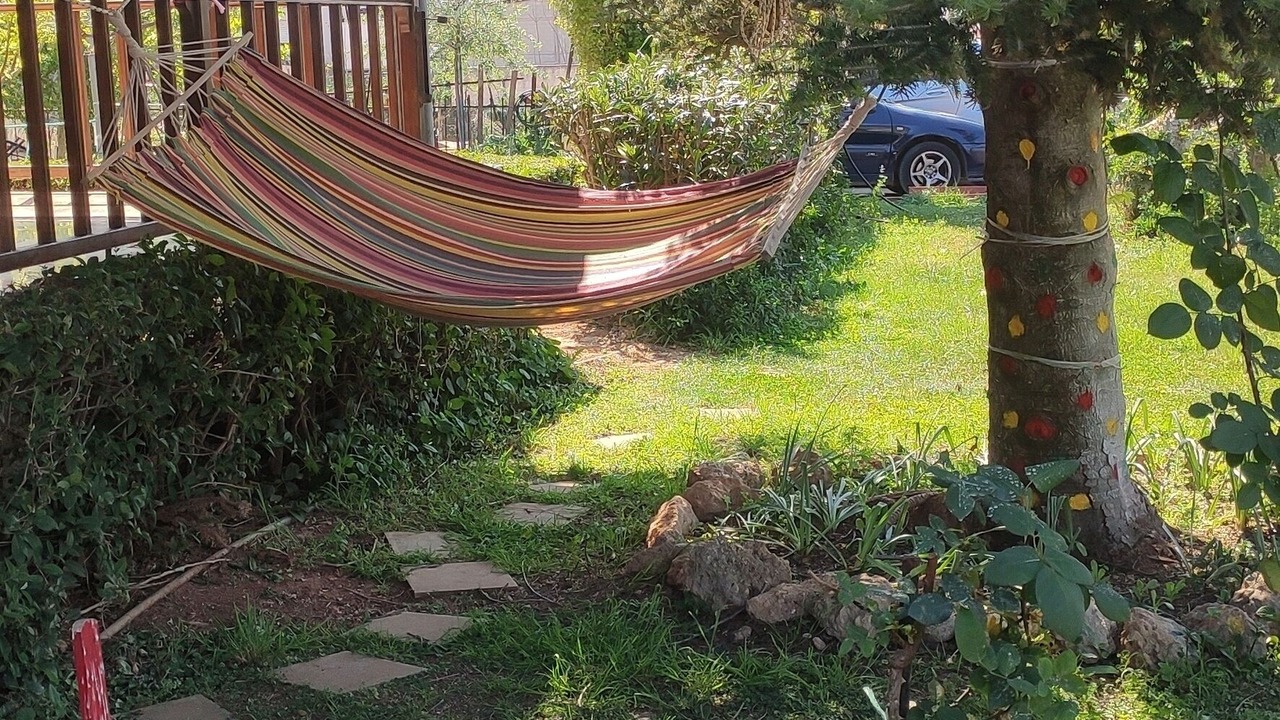 Photo of Outdoor in Nemea